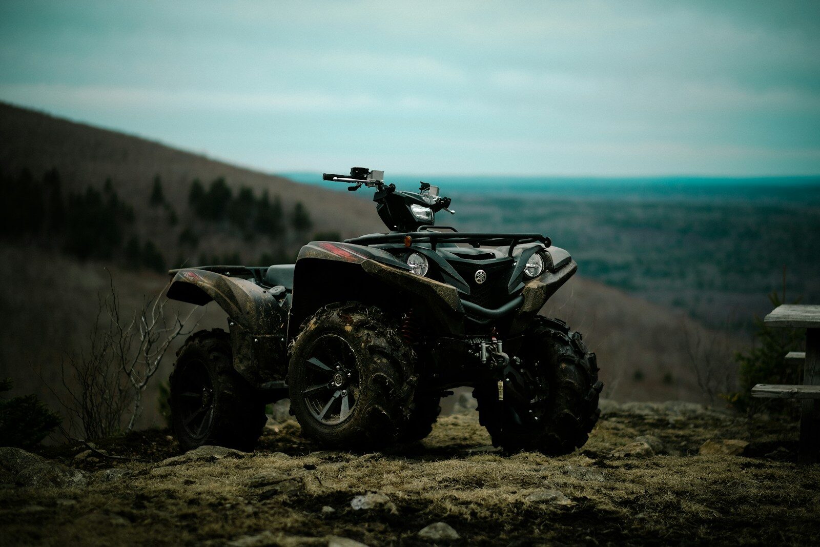 Toy Vehicle Insurance Checklist: What Irving Families Should Review Before Summer Trips